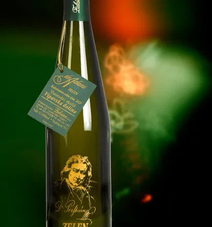Degustacija buteljčnih vin Goriška, doživetje z De Adami Zaloščan