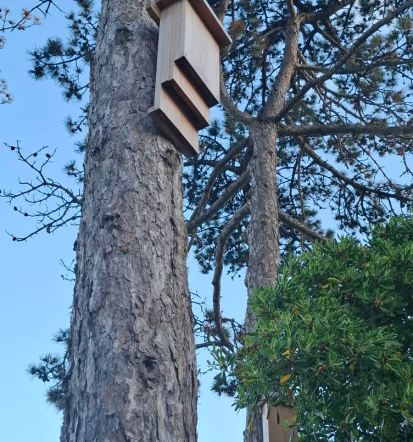 Urejanje okolice in vrtov Tržič, Gorenjska - Lušt´n dev