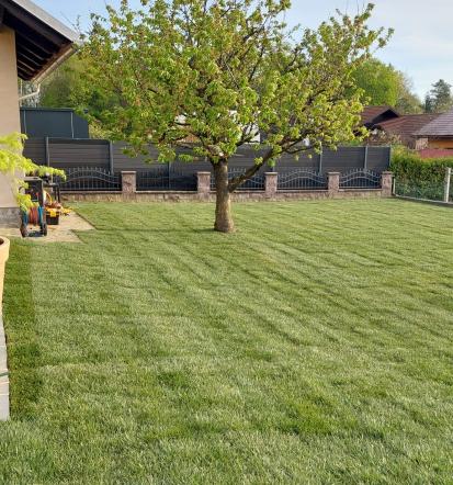 polaganje travnega tepiha Prekmurje