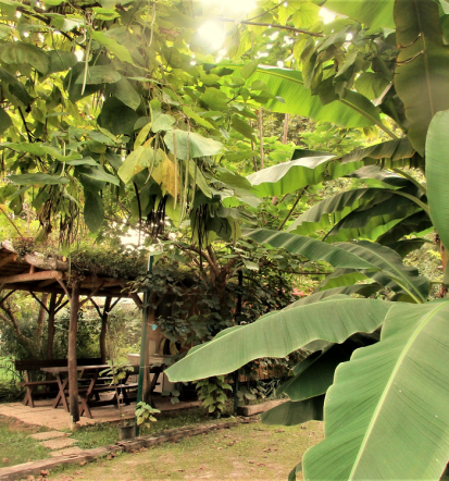 Elektrika in parkirno mesto, dober kamp Bela krajina