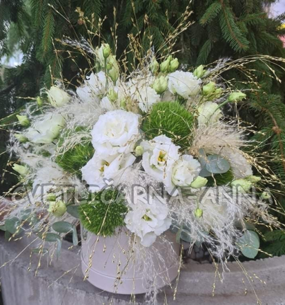 Rezano cvetje v vsej svoji lepoti