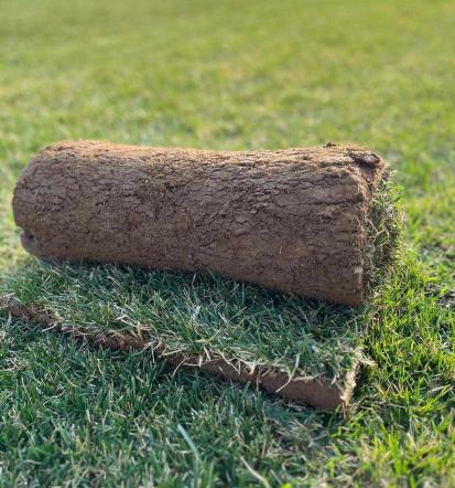 Prodaja travnega tepiha Prekmurje