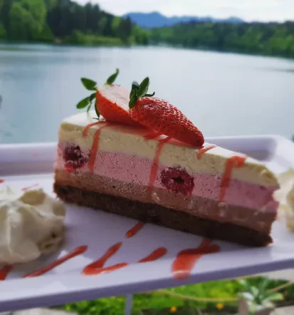 Odlična domača slovenska hrana Ljubljana z okolico