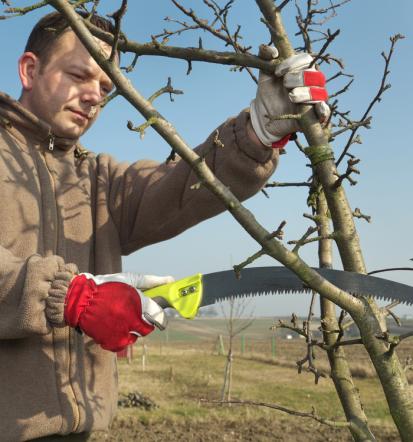 Košnja trave in obrezovanje žive meje Savinjska, Blaž Vrabič