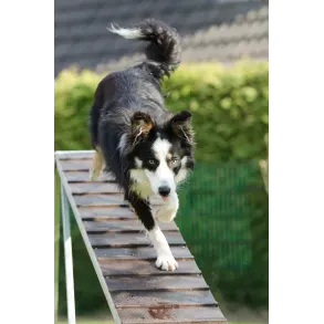 ŠKD Bela krajina