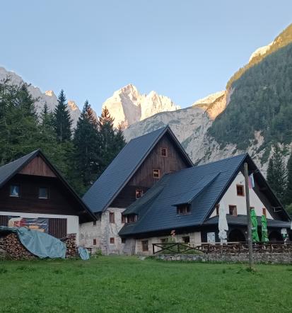 Tamarski dom
