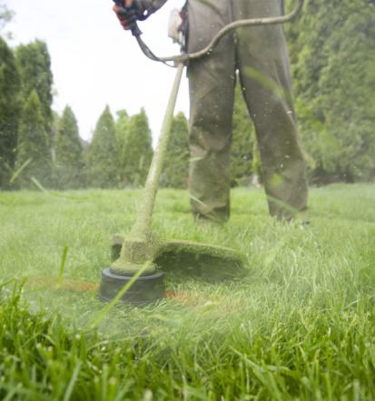 Ugodna košnja trave in obrezovanje žive meje Savinjska