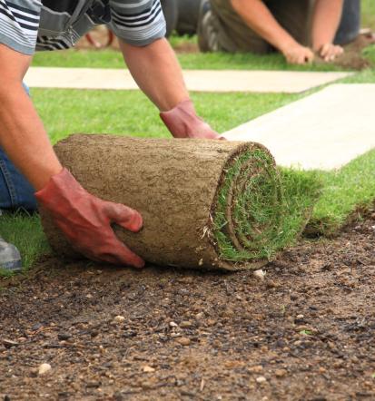 Urejen vrt in dvorišče z lokalnim mojstrom iz Žabnice