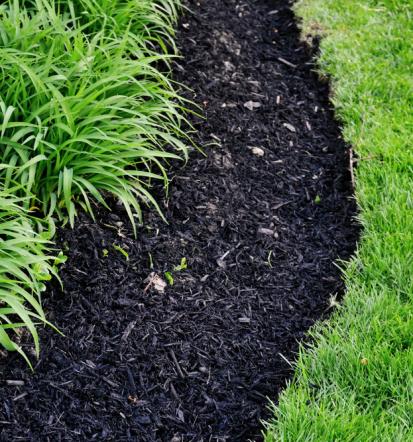 Profesionalno mulčenje strmih površin Štajerska