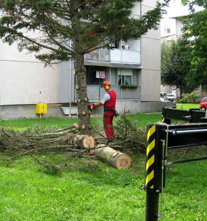 Storitve z avtodvigalom Gorenjska, mi smo tu za vas