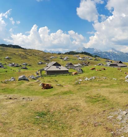 Oddajanje sobe Stahovica, Gorenjska, soba na vasi za planince