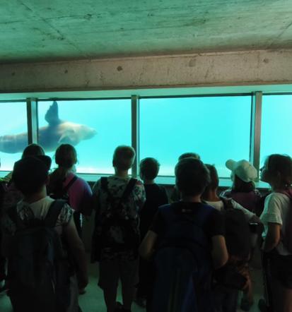 Osnovna šola Savinjska