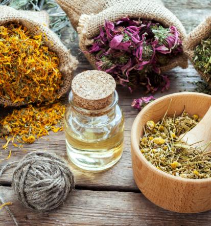 Lokalne dobrote Kranjska Gora