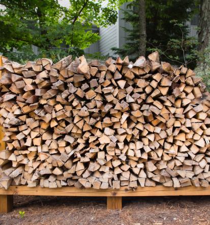 Prevoz hlodovine Notranjsko-Kraška