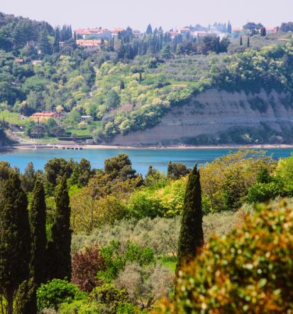 Dobri apartmaji za najem Portorož Lucija blizu Sečoveljskih solin