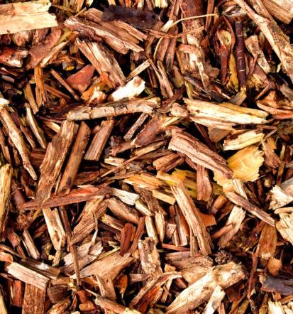 Hitro mulčenje strmih površin Štajerska