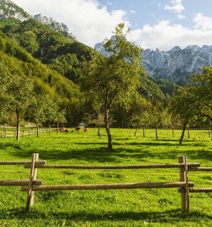 Popoln oddih za pohodnike, oddajanje sobe Stahovica, Gorenjska