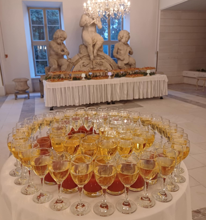 Catering za različne dogodke na Štajerskem