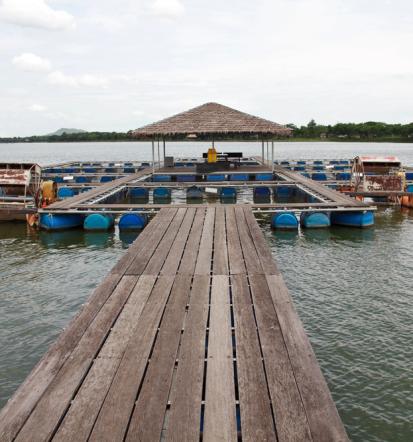 Ribogojnica Ravne na Koroškem