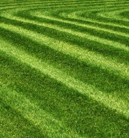 Urejanje dvorišč Osrednja Slovenija