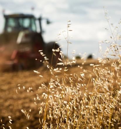 Prevoz poljščin in obdelava kmetijskih površin Podravska