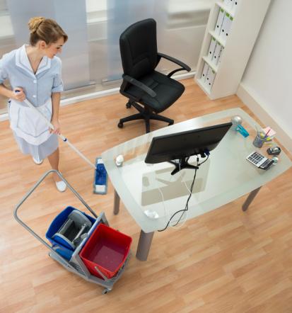 Profesionalno generalno čiščenje stanovanj, pisarn, Obalno-kraška od Sečovelj do Ankarana