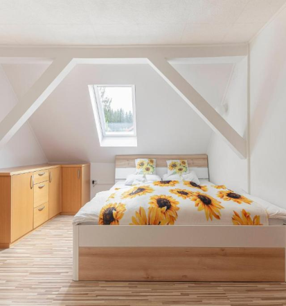 Najem velike družinske počitniške hiše Rogla