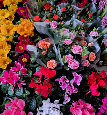 Sveže rezano cvetje in aranžmaji v Zasavju, Cvetličarna ROŽCA