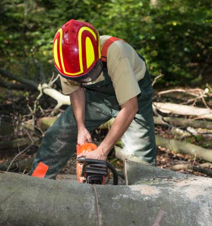 Strokovnjaki za podiranje dreves Podravska in gradbene storitve