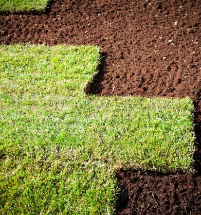 Polaganje trave in urejanje okolice