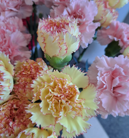 Ikebane, šopki in žalni venci v Zasavju, Cvetličarna ROŽCA