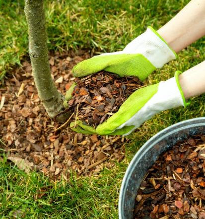 Mojstri za košnjo zelenic, fasade, vodovod in še več, Gorenjska
