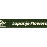 Lapanje Flowers