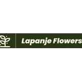 Lapanje Flowers