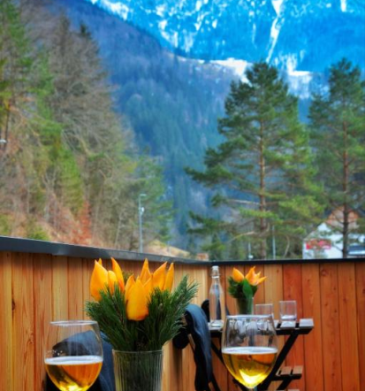 Samopostrežni zajtrk in brezplačen WiFi v hiški za prenočitev Solčava