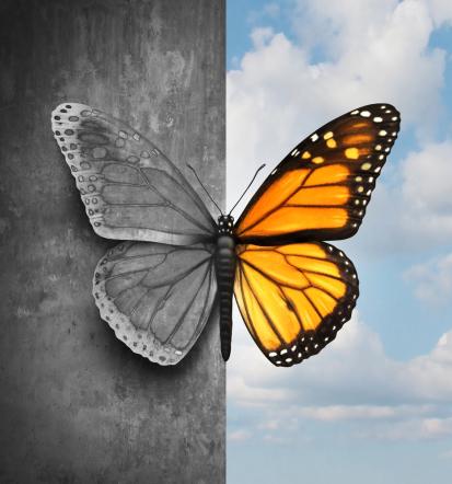 Psihoterapija v Ljubljani