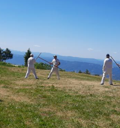 Qi Gong in borilne veščine za odrasle in otroke Ljubljana Osrednja Slovenija