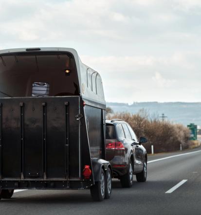 Zanesljiv ugoden prevoz športnih konjev v tujino Savinjska Slovenija