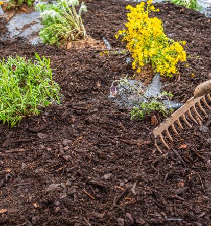 Mulčanje gozdov Štajerska, Hrvaška