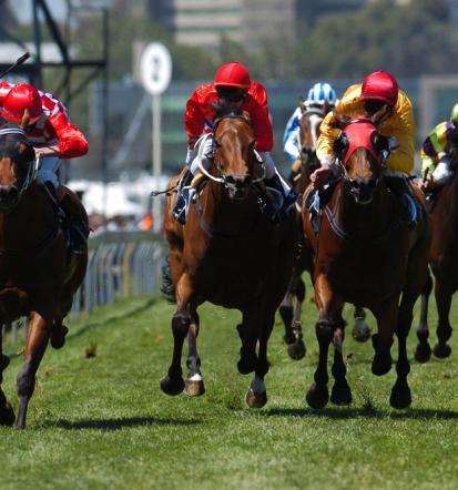 Ugoden prevoz športnih konjev v tujino Savinjska Slovenija po celi Evropi