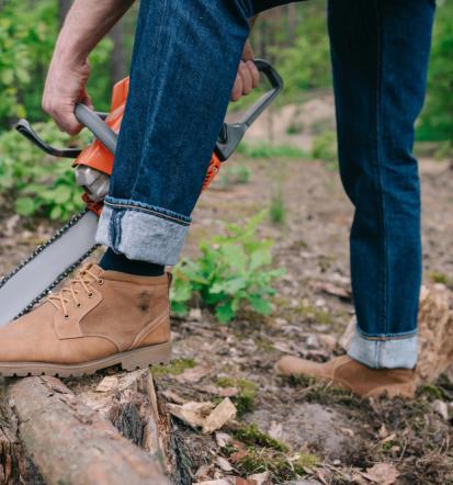 Varno podiranje dreves v urbanem okolju Osrednja Slovenija