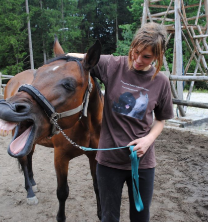 Praznujte rojstni dan z rojstnodnevno animacijo Vojnik, Savinjska