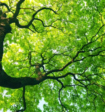 Uravnavanje biopolja posameznika s pomočjo strokovnjaka