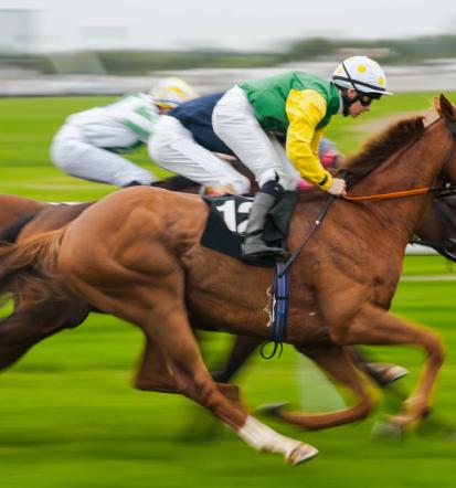 Varni in ugoden prevoz športnih konjev v tujino Savinjska Slovenija