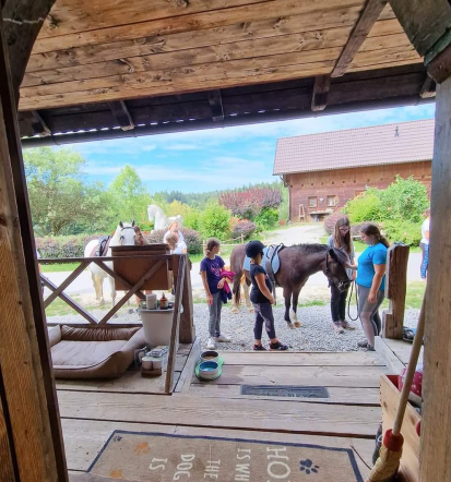 Interaktivna rojstnodnevna animacija Vojnik, Savinjska