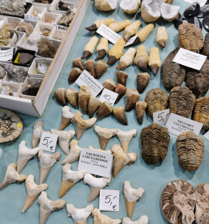 Društvo PLAC Tržič organizira Minfos, praznik mineralov in fosilo