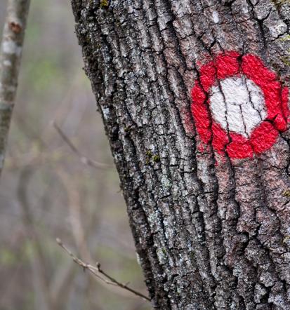 Vpis v planinsko društvo Jugovzhodna Slovenija, Velike Lašče