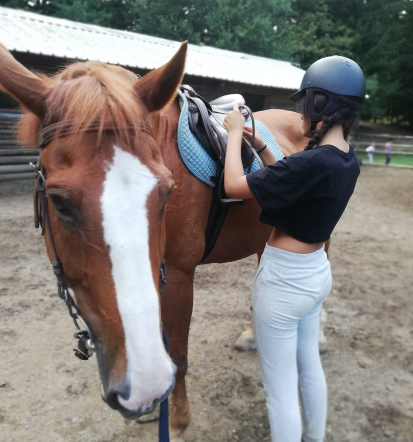 Poskrbite za nepozaben dan, teambuilding za podjetja Slovenija, Savinjska