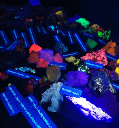 Spoznajte Mednarodne dneve mineralov, fosilov in okolja – Minfos v Tržiču