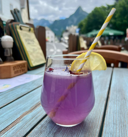 Burgerji in jedi iz žara Bovec, prava izbira za gurmane v dolini Soče